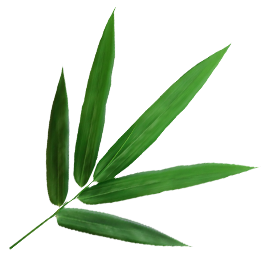 Ningguo Kuntai Bamboo and Wood Co., Ltd.